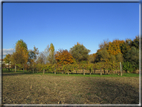 foto Paesaggi Autunnali tra le colline Fontesi